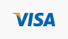 icon visa